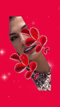 Sua foto 