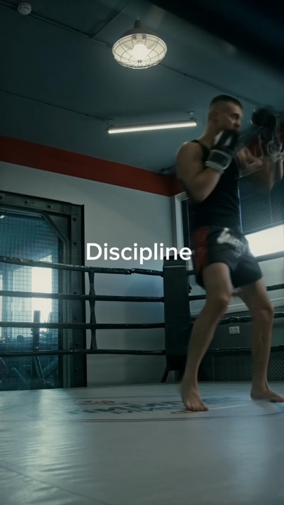 Discipline 
