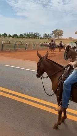 em busca de um bar..
