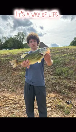 Insane fishing edit๐ฅ