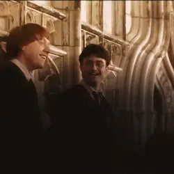 << Harry p. >>