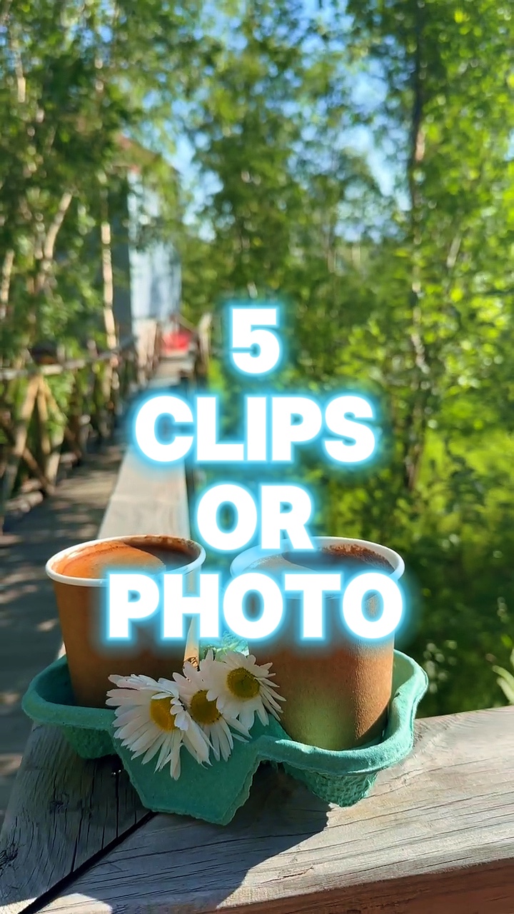 5 clips or photo 