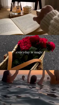 Todo dia é mágico