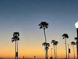 Jesus forgives u ✝️💗♾️