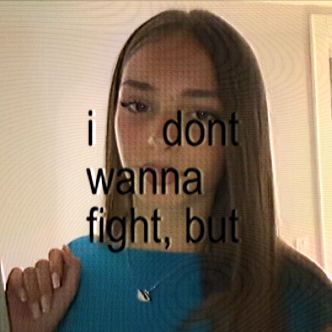 i don't wanna fight