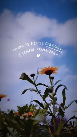 Frase•Tipografia