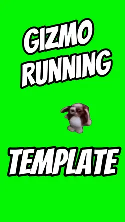 Gizmo Running