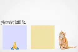 KITTYYUHHH