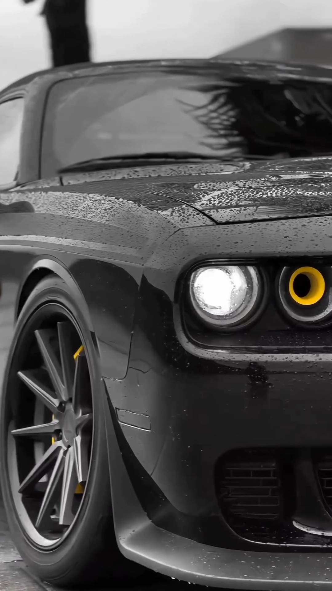 CAR NAME ?👀