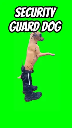 Security guard dog