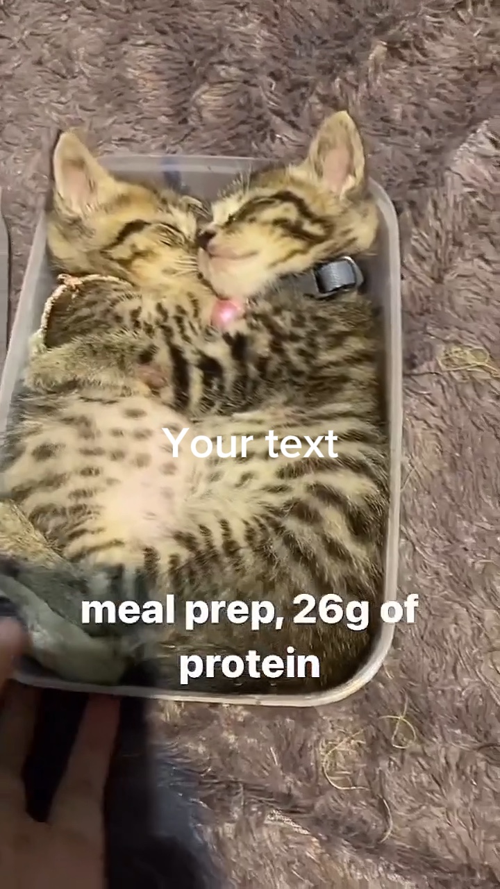 Pretty good meal 