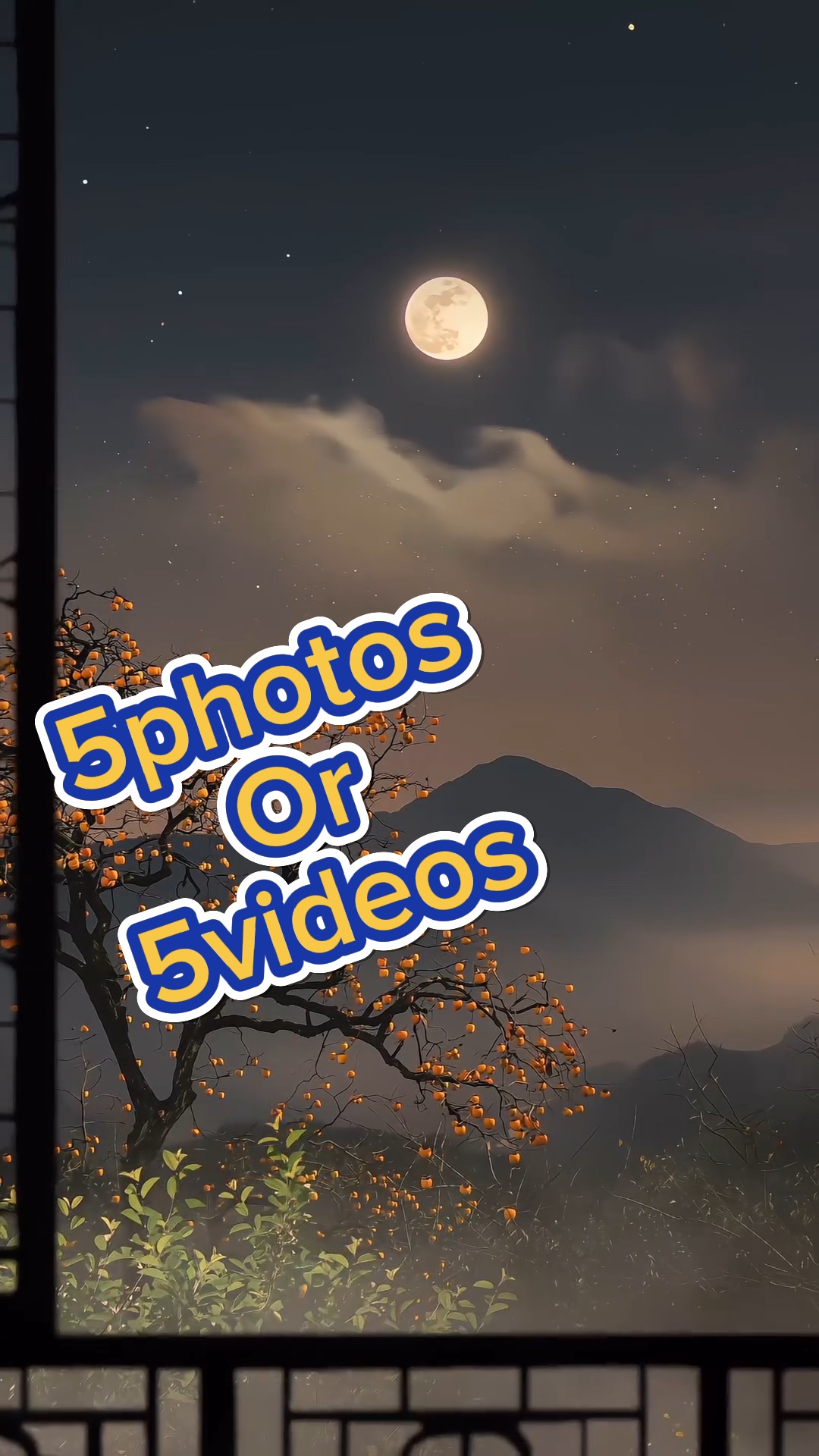 5 fotos / videos