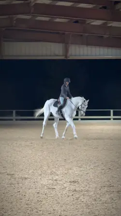 Nicco’s trot😍 ⚠️FAKE⚠️