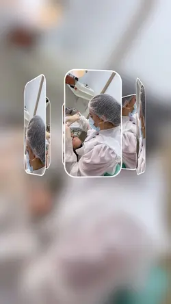Dentista 