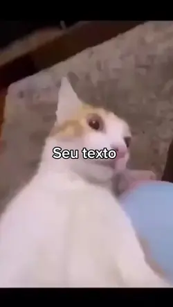 gato surpreso