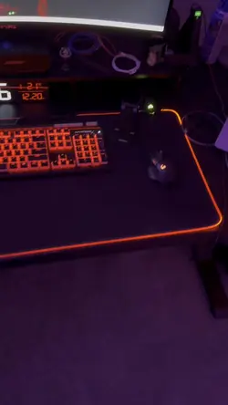 Add 1 clip
