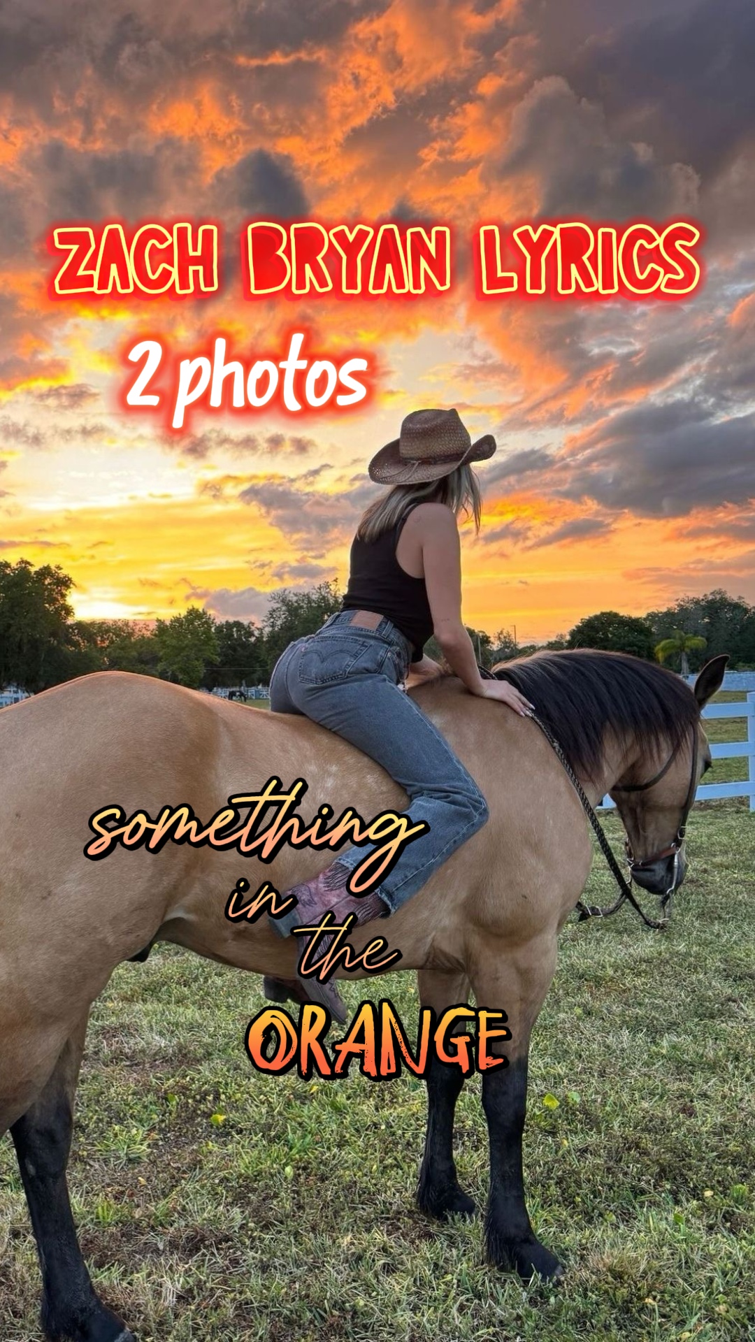 in the orange 