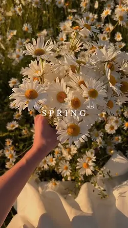Hello Spring 2025