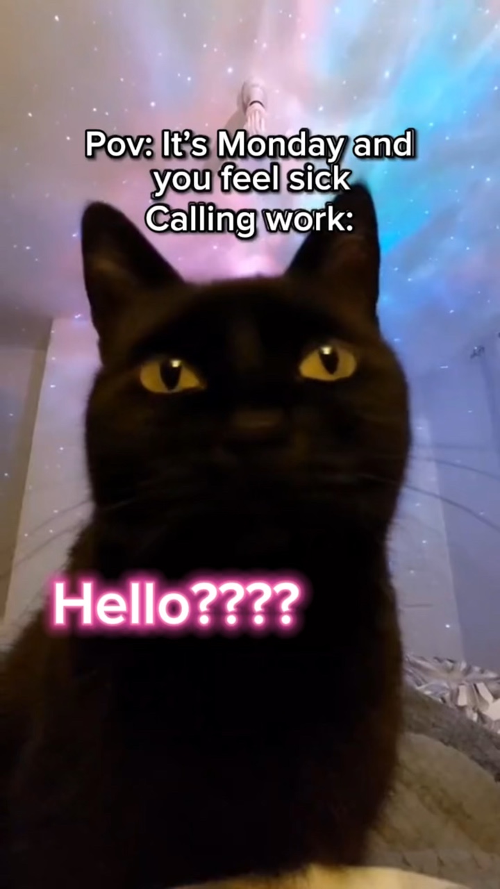 Bonjour???