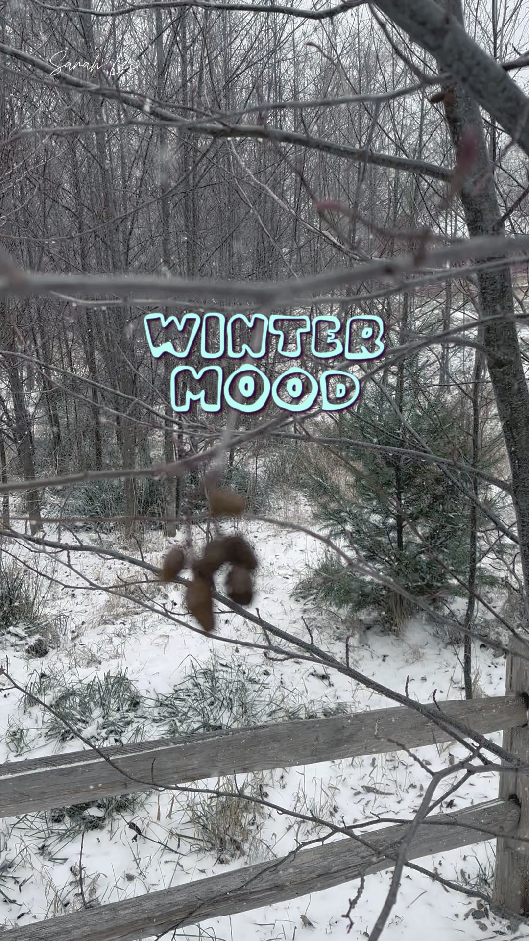 Humeur hivernale 
