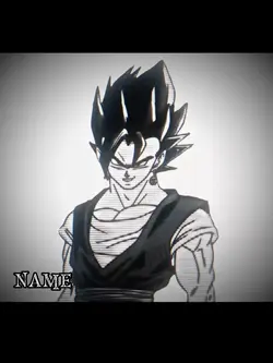 vegetto