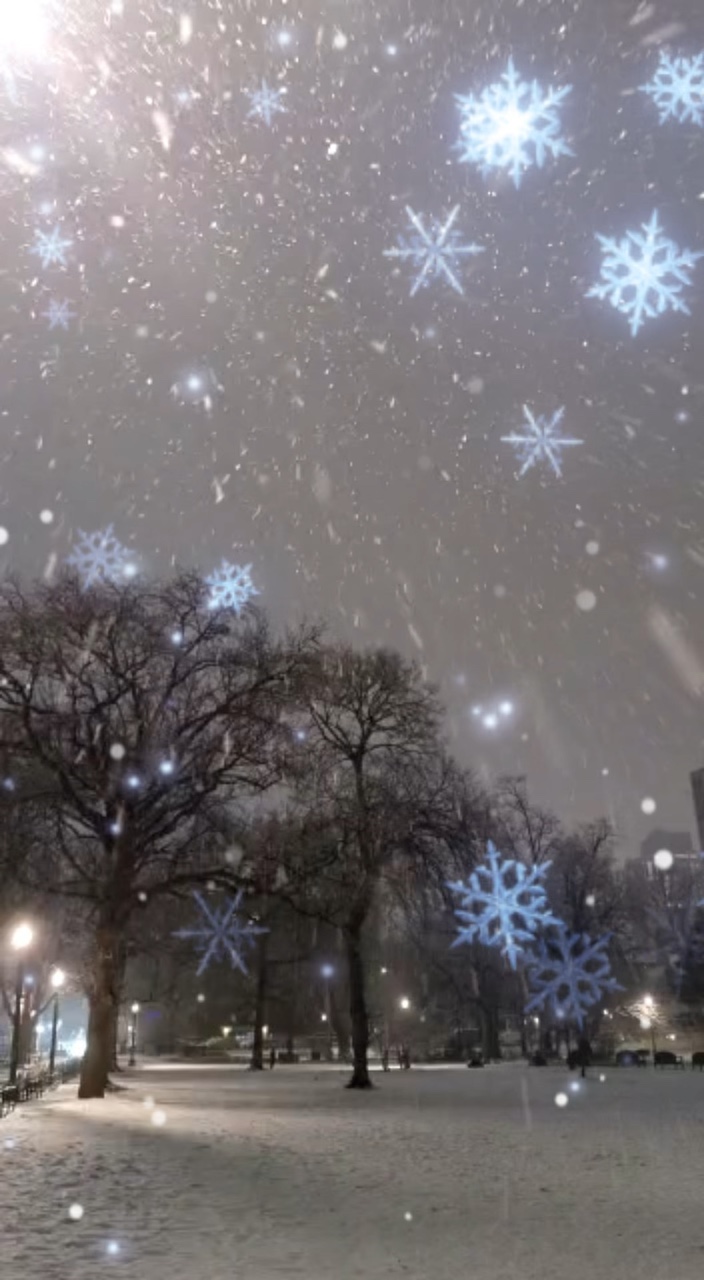 Neve 