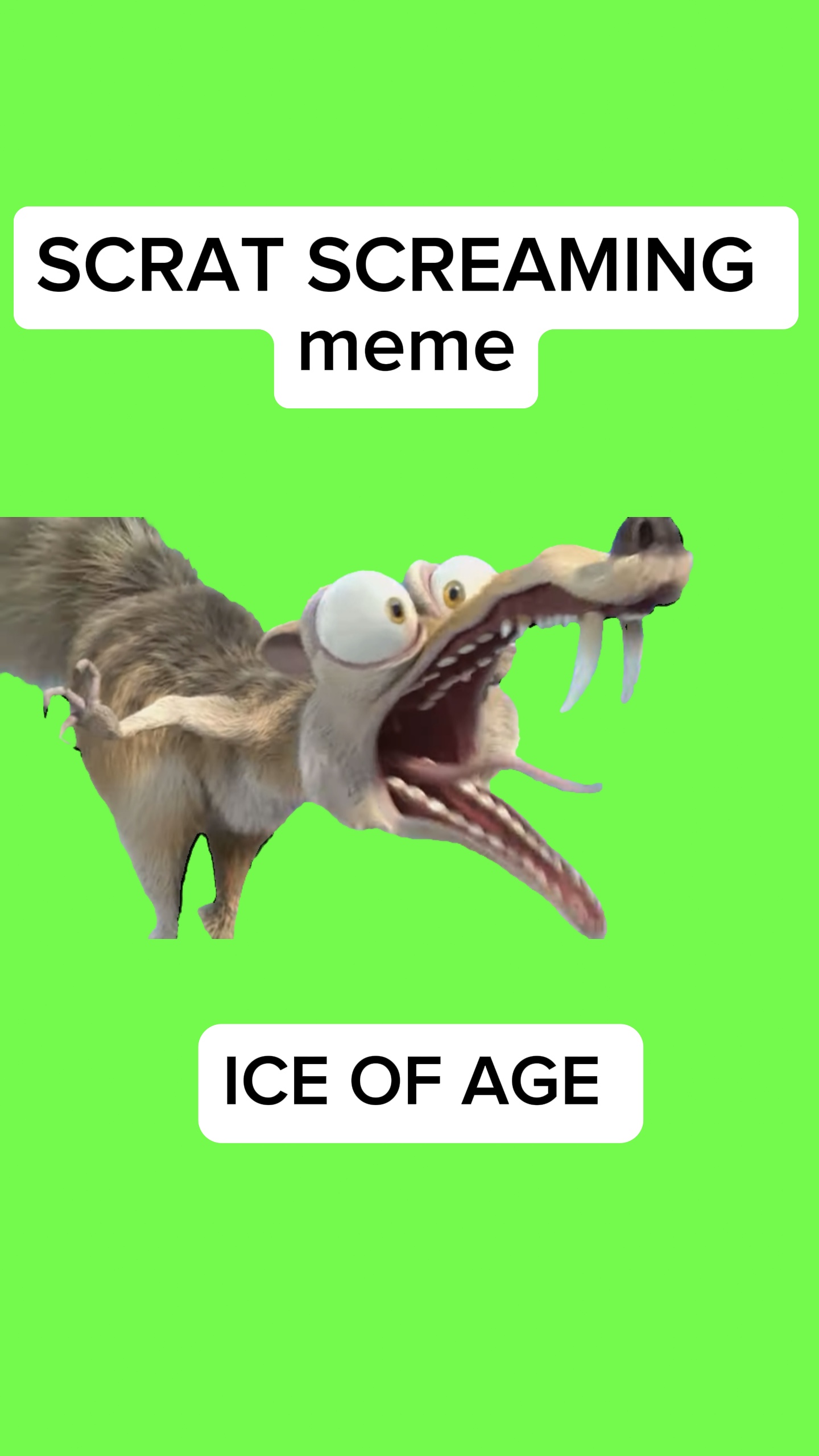 Meme TERIAK SCRAT