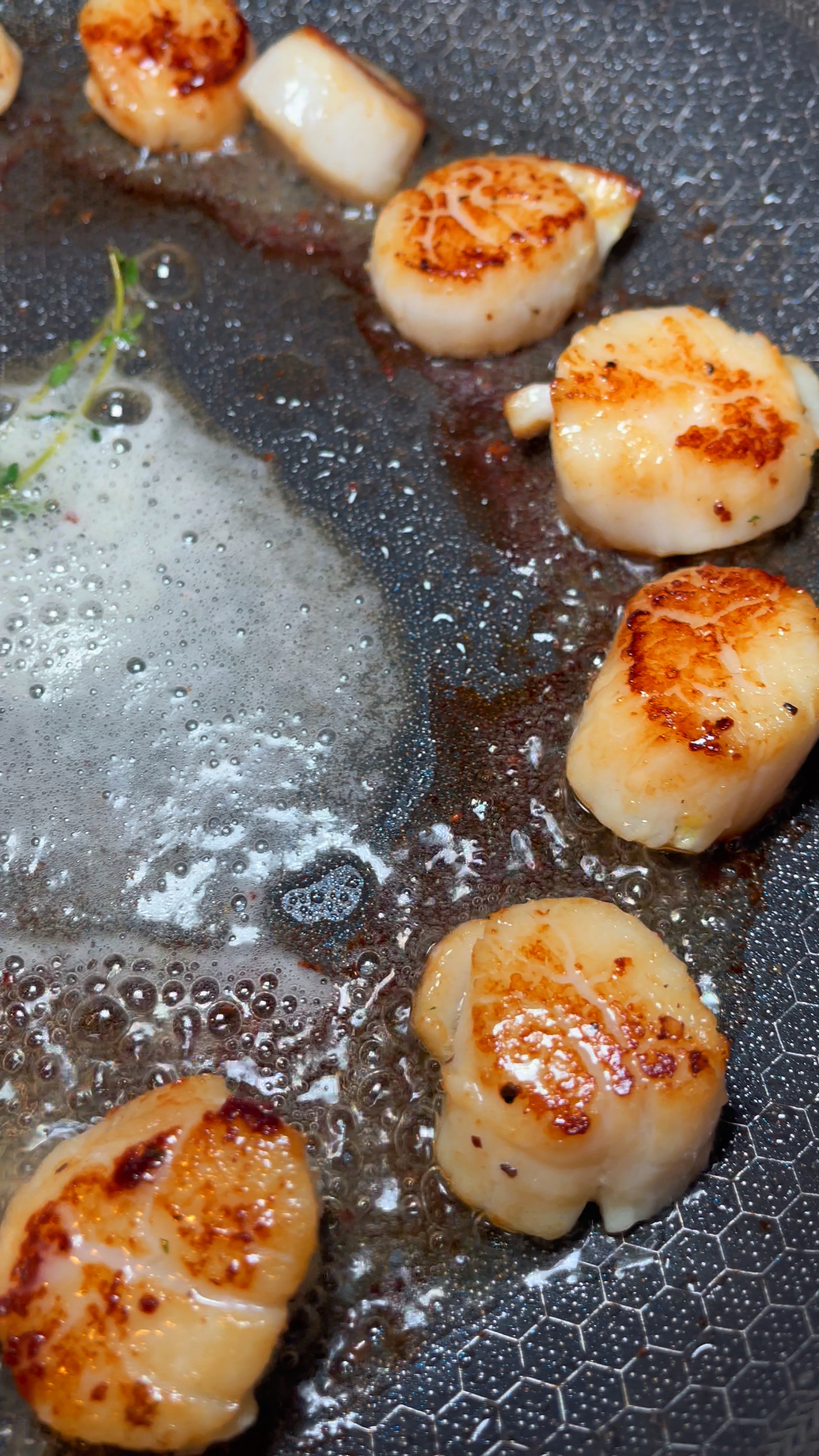 Meeresfrüchte kochen