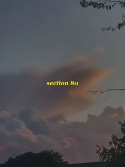 section 80