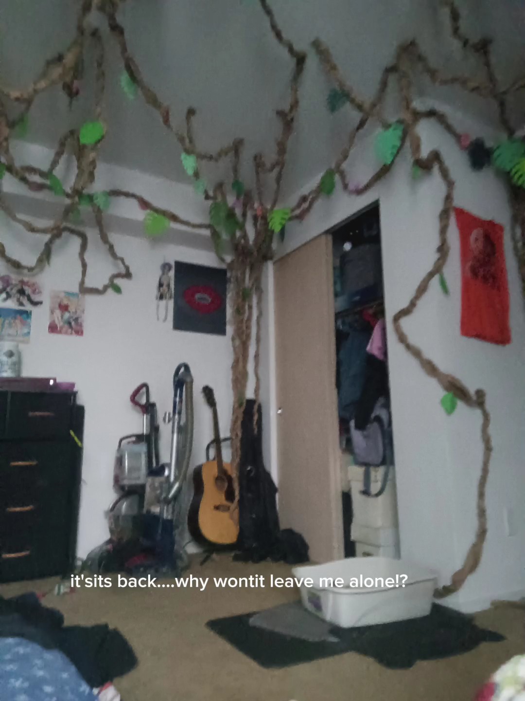 why...?