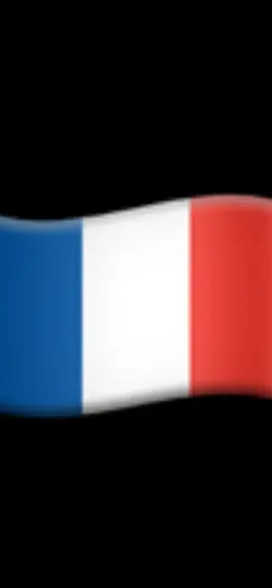 NOT THE FRENCH FLAG 