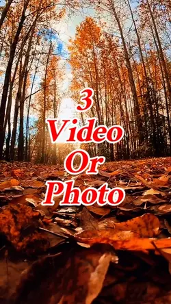 3 video or photo 