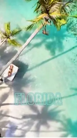 Trend Florida Song