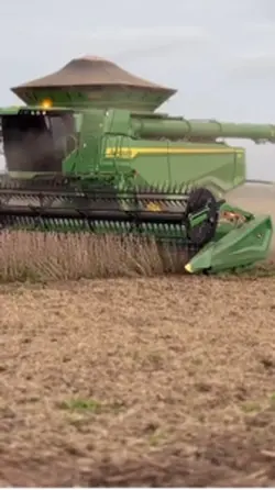 Na estrada da vida 🛣️