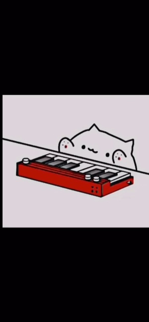 Gato