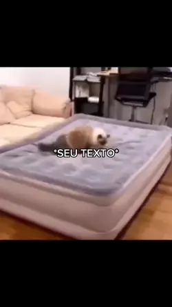 GATITO | SEU TEXTO