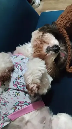 Vou descansar tá?