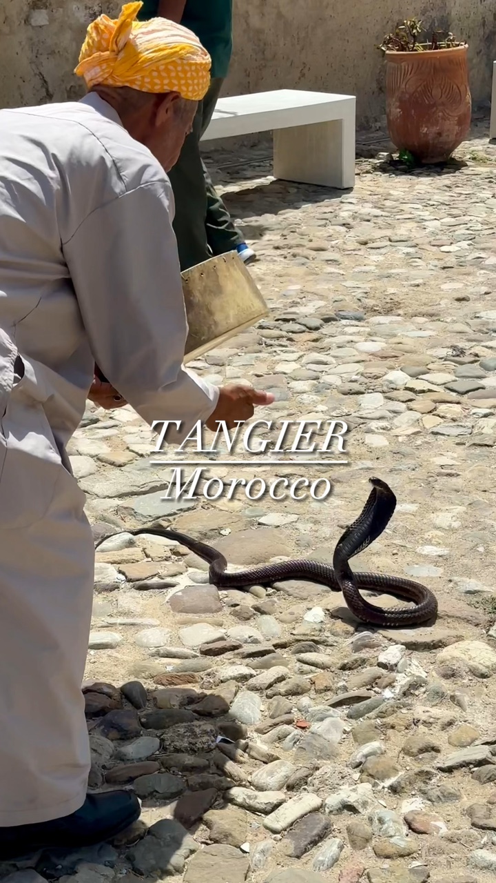 Travel video