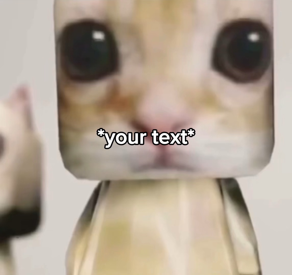 跳舞的猫