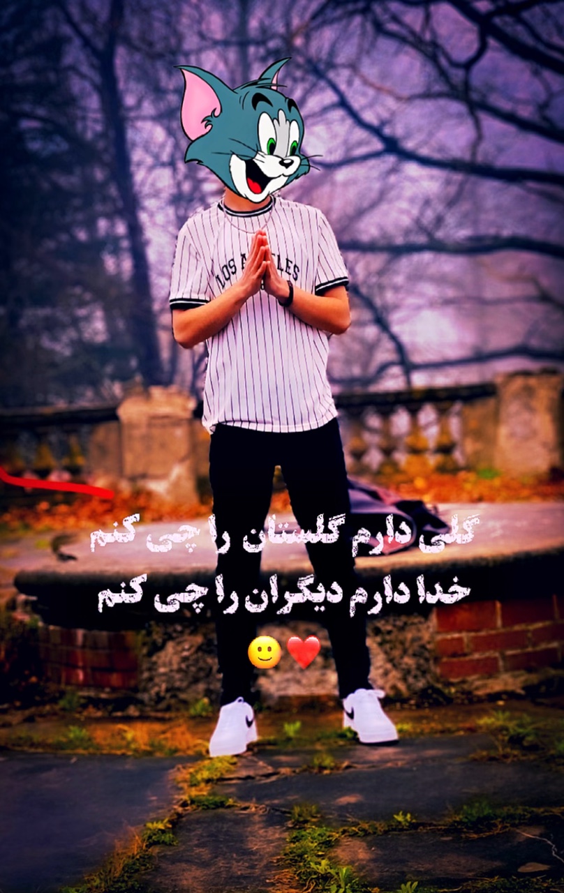 Cover Picture