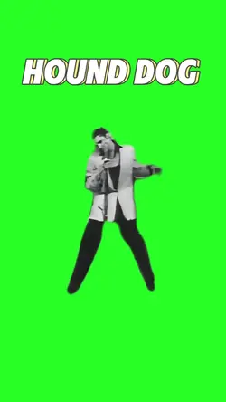 Hound Dog