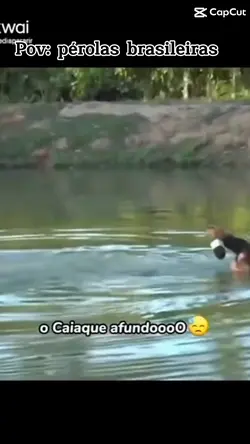 Pérolas brasileiras