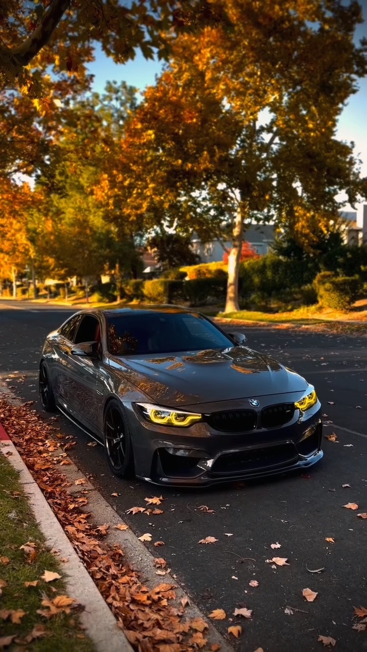 BMW] AUTOBEARBEITUNG] ⭐