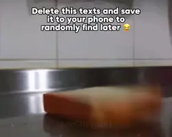 Bread