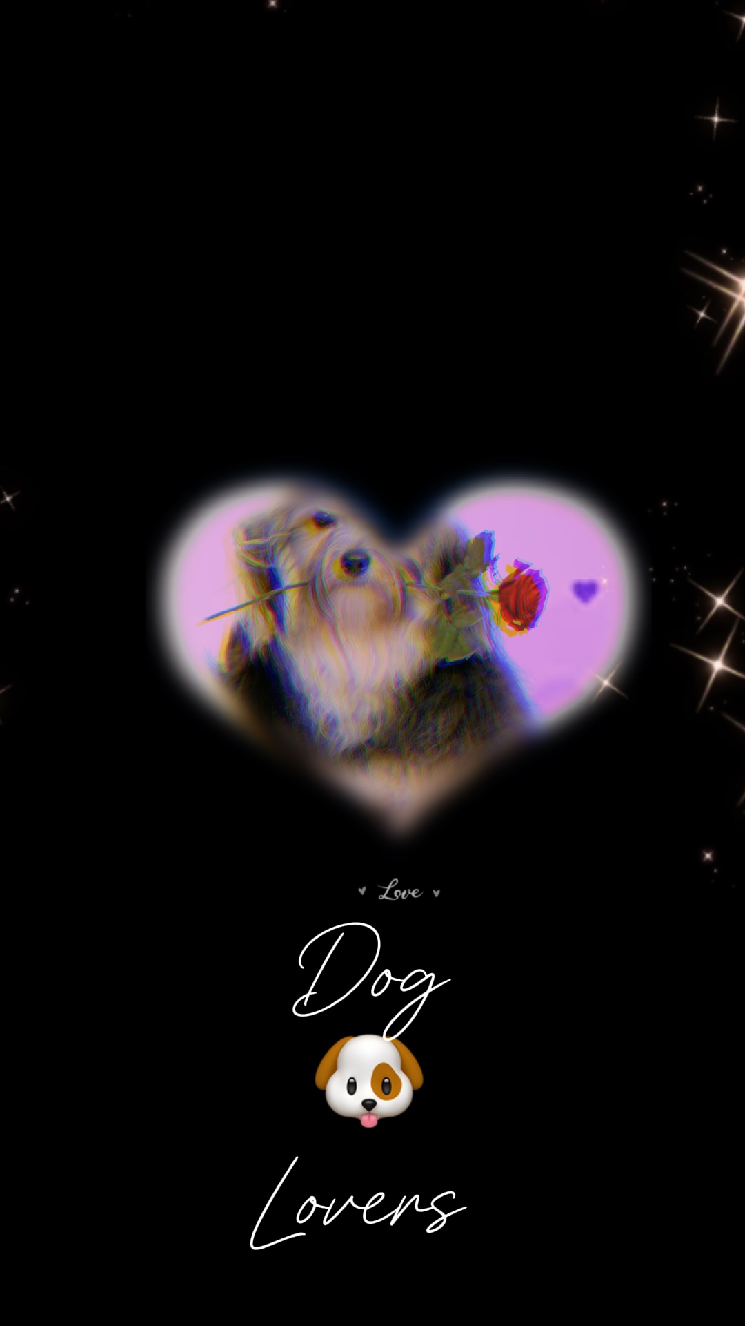 Amante de los perros 