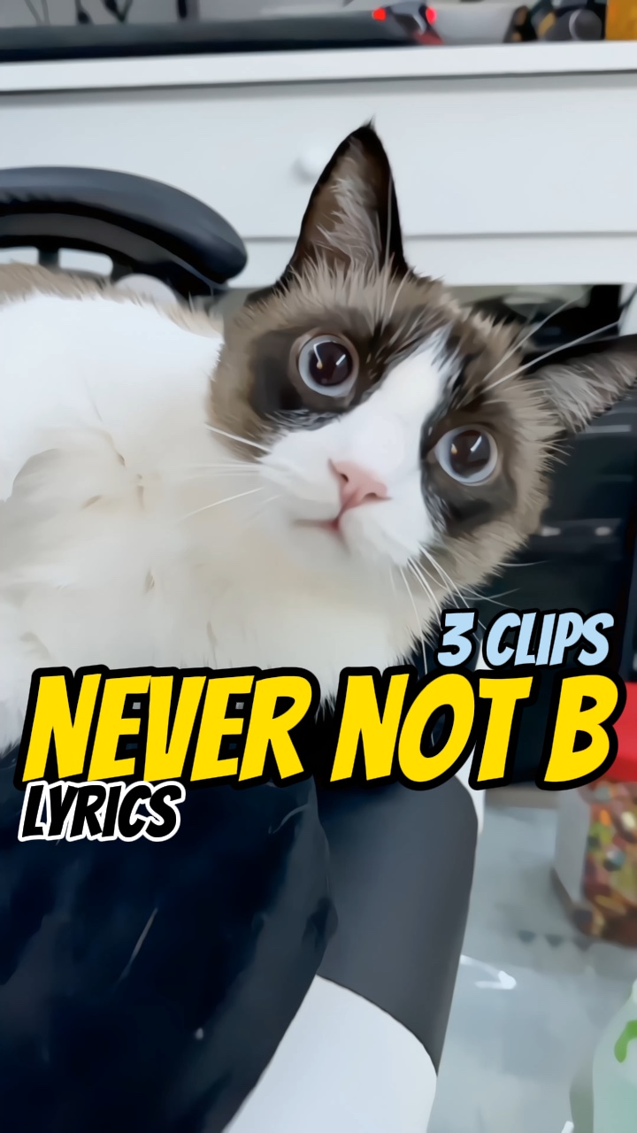 Never not be?! MV