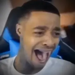 Dolphin ahh laugh