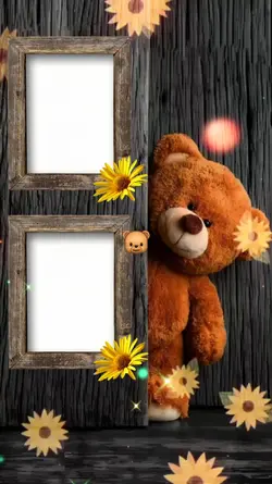 Photo Bear