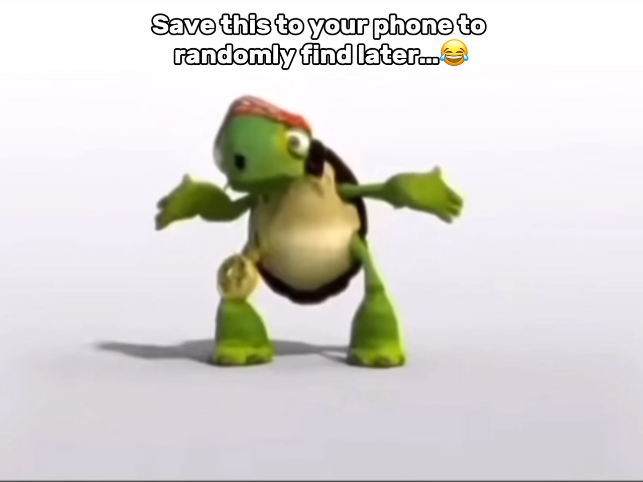 Turtle Dance