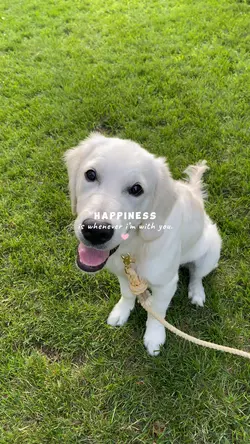 Happiness is you. 